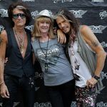 Gail Hood - @hood_cats_and_family - Instagram