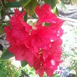 Gail Hood - @gailhood.90745 - Instagram