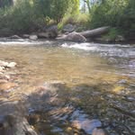 Gail Grover Horne - @horne.54 - Instagram