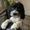 Gail House - @gail.house2 - TikTok