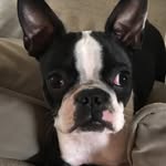 Gail Hudson - @gail_hudson_1027 - Instagram