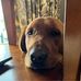Gail Hudson - Facebook