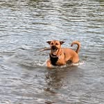 Gail Hudson - @hudson.gail - Instagram
