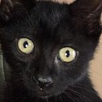 Abbigailhummel - @abbigailhummel - Instagram