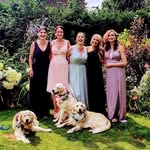 Gail Corr - @gail.humphreys.142 - Instagram
