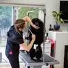 humphreygail - @humphreygail - TikTok