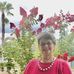 Gail Imes - Facebook