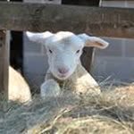 Gail Irvine - @gail.irvine - Instagram
