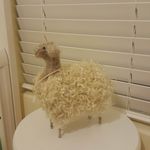 Gail Ivey - @iveyandco - Instagram