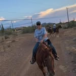 Gail Johnson - @gailjohnson153 - Instagram
