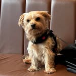 Gail Johnston - @gailjohnston334 - Instagram