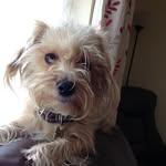 Gail Johnston - @gmjohnston23 - Instagram