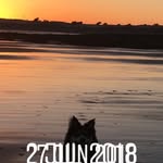 Gail Johnston - @gailjohnston1102 - Instagram