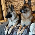 Gail Johnston - @gail.johnston.5245961 - Instagram