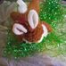 Gail Joyner - Facebook