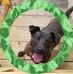 Gail Joyner - Facebook