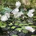 Gail Judd - Facebook