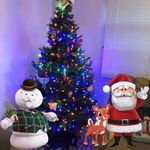 Gail Kaplan - @gail.kaplan.777 - Instagram