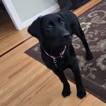 Gail Tridento Kaplan - @gailkap - Instagram