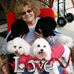 Gail Chirico Kellogg - @gkellogg22 - Instagram