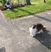 Gail Kenyon - Facebook