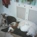 Gail Keys - Facebook