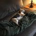 Gail Keys - Facebook