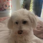 Abby kimball - @abby_gail_kimball - Instagram