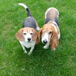 Gail T. Koch - @gailkoch3915 - Instagram