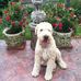 Gaile Koehler - Facebook