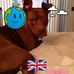 Gail Ladd - Facebook