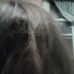 Gail Ladd - Facebook