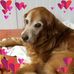 Gail Ladd - Facebook