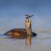 Gail L Langlois - Facebook