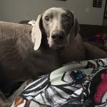 Abagail  Nicole Layton - @abagailnicolelayton - Instagram