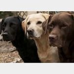 Gail Layton - @laytongail - Instagram