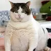 Gail Leavitt531 - @gailleavitt17 - TikTok