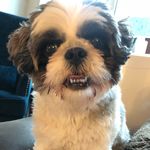Luna Gail Cherpock-Levy - @luniethefoodie - Instagram