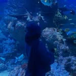 @gailliyin - Instagram