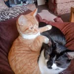 Gail Lister - @gaillister - Instagram