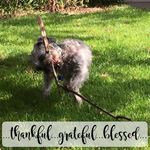 Gail Lister Milstead - @milsted50 - Instagram