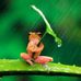 Gail LockLear - Facebook