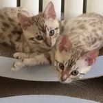 Gail Long - @gail.long.92798 - Instagram