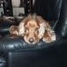 Gail Longmore - Facebook