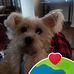 Gayle Longmore - Facebook