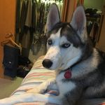 Gail Byerwalter Lutz - @gail.lutz.10 - Instagram