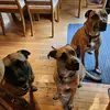 Gail MacDonald - @gail.macdonald7 - TikTok