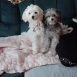 Gail Bond Macneil - @gail.b.macneil.3 - Instagram