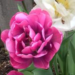 Gail Madsen - @gailmad - Instagram