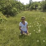 Gail Mann - @gailrmann - Instagram